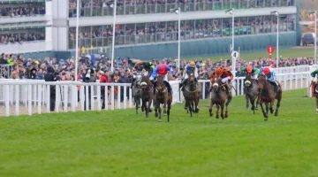 2024 Irish Cesarewitch Preview & Best Odds